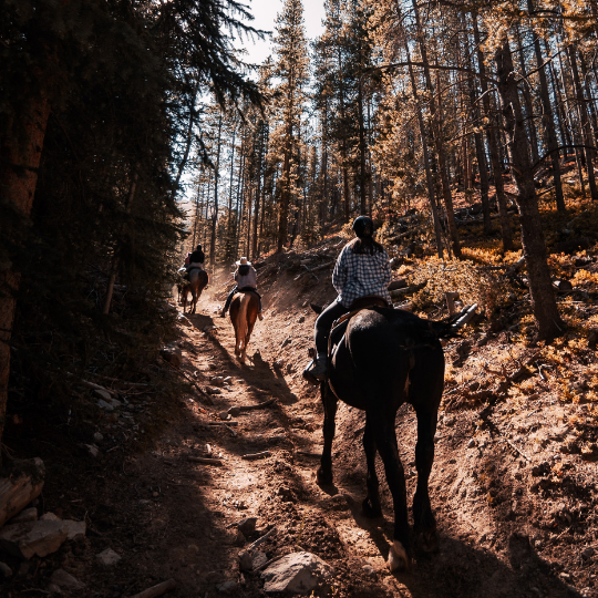 horseback riding in colorado springs