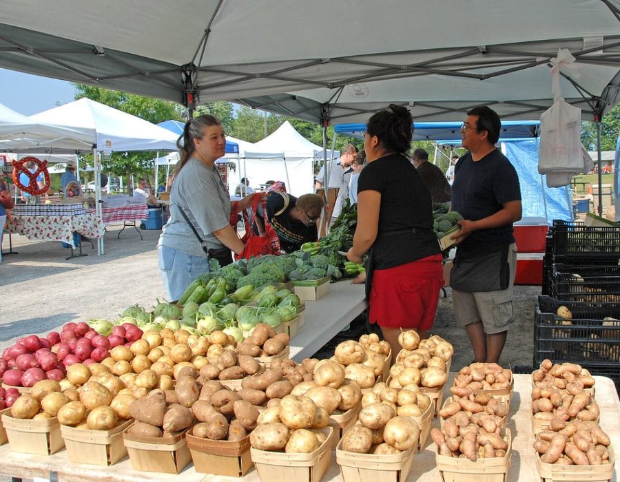local farmers' markets
