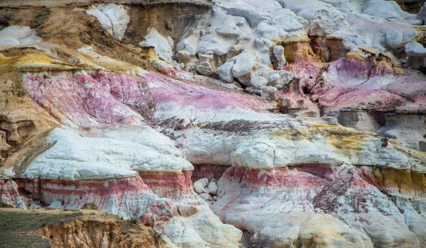 47638964742_4bb0dcbcf5_b