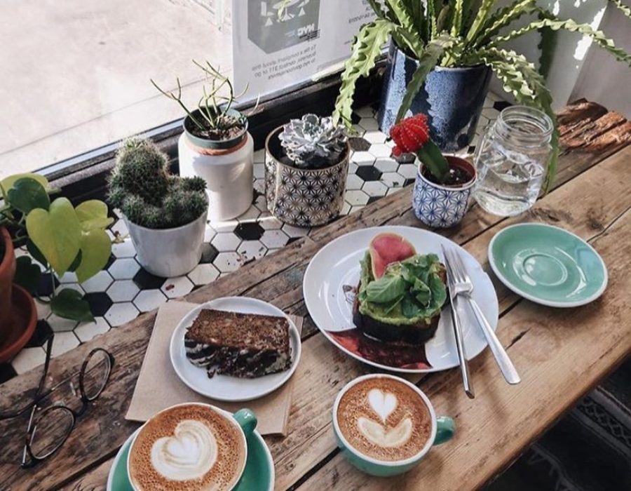 50692676412_f43848ddf6_b