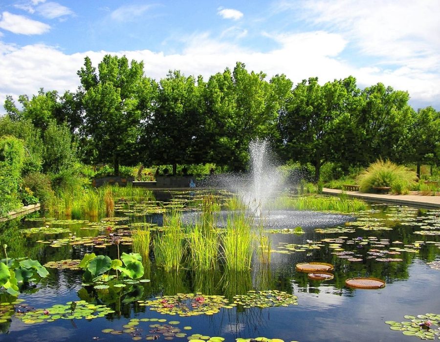 denver botanic gardens