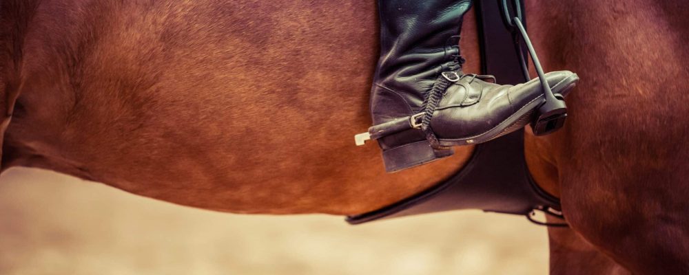 horseback riding in colorado springs