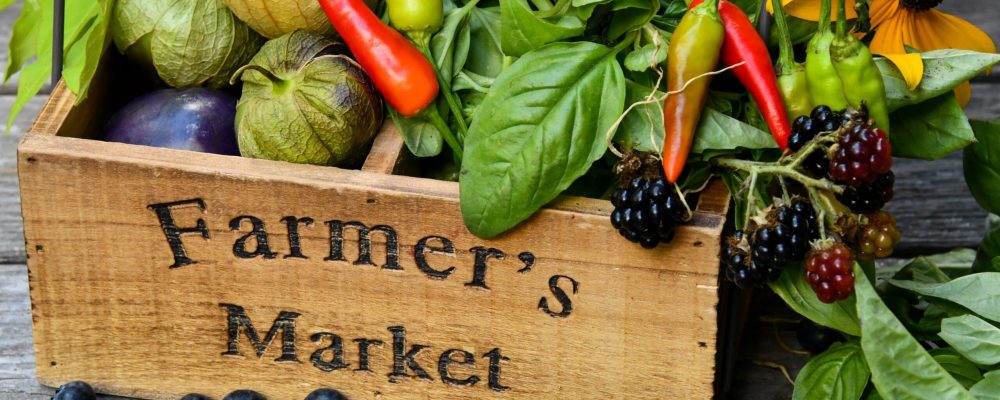 local farmers' markets in colorado springs