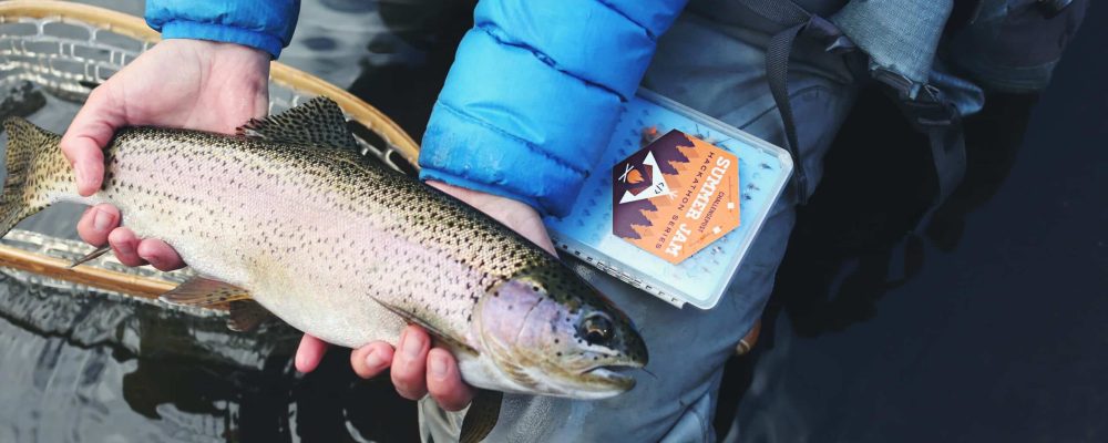 fishing spots in colorado springs